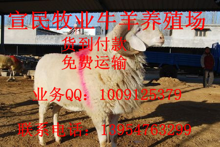 ӱ40-50СβǮһֻ50ֻܸͻ