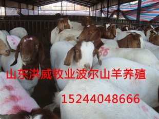Ǯһ۷ֳĸ