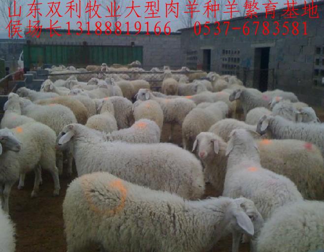 ֻɽ硢ṩѧֳ켼