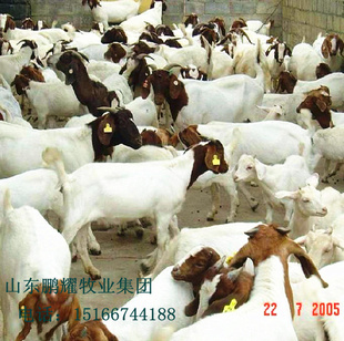 ۸ưղɽTY2013갲ղɽ۸