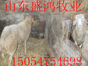 СβԳԳ귢ֳַ...ɽʢ