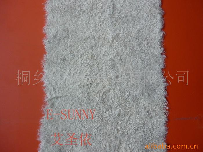ƤGJYP-09-51