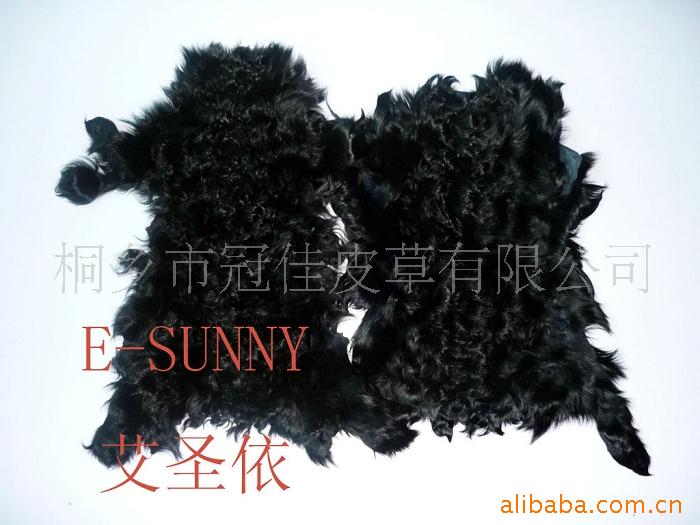 ƤGJYP-09-56