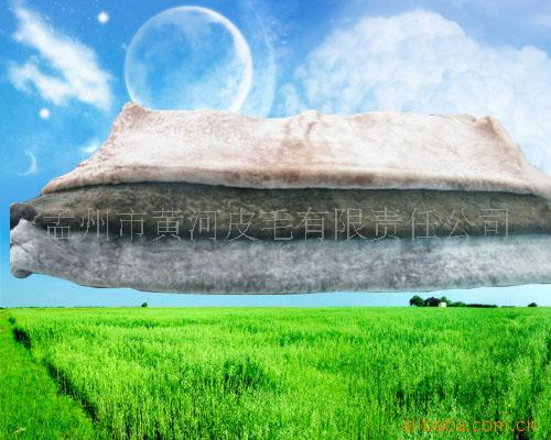 ЬƤޡƤëëװƤë֬