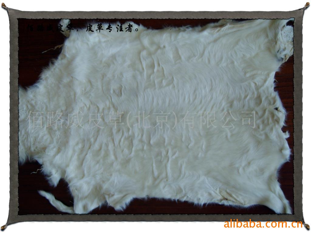 ƤţXianggaolamb