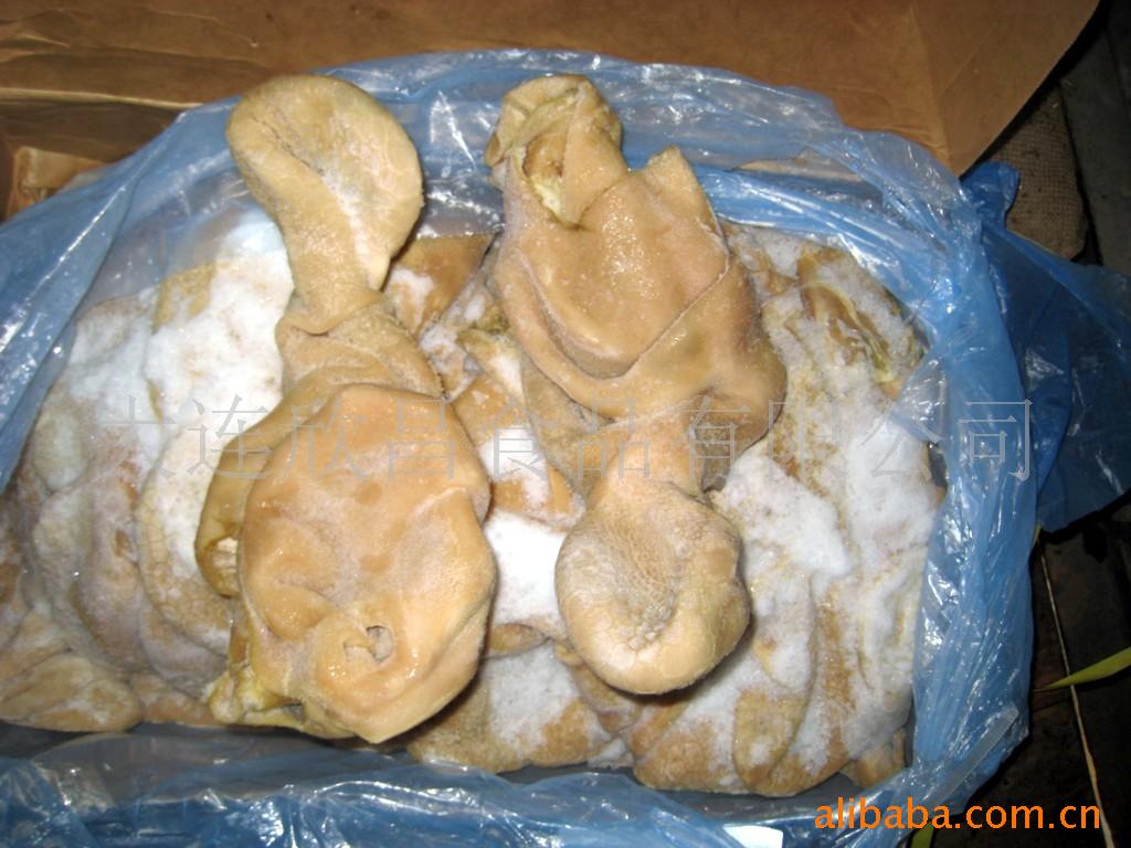 ҹ˾ڸ
