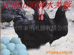 ũҷԳߵڼ̿Ǵ󵰻