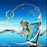 ֱ1.56֬Ƭuv400Ӳ侵Ƭ