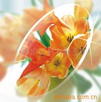 1.60棨UV-400֬Ƭ