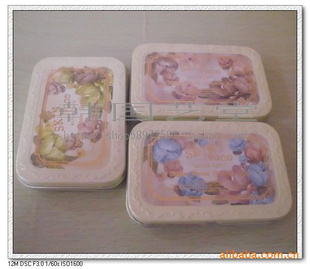 SkinFoodݻ԰Ӱ