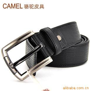 CAMELʽпƤֻ֧