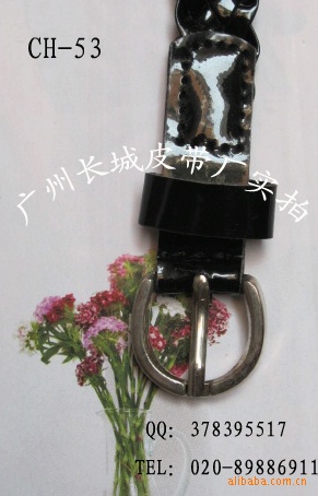 2010ǹ֯--CH53