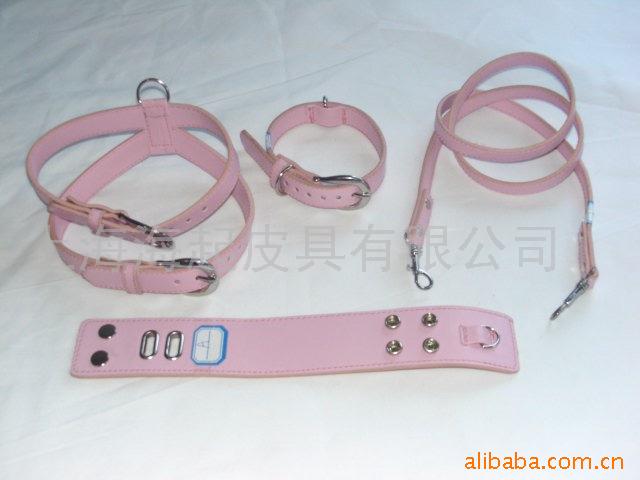 宠物皮带来(图)
