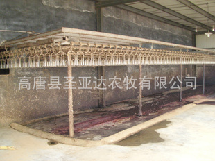 䶳ʵѼƳ