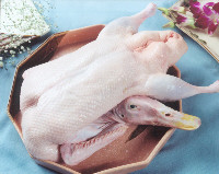 ӢѼ