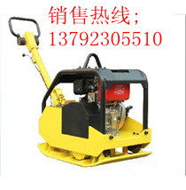 ݵƽ庻13792305510