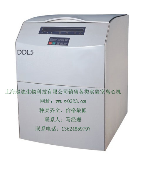 䶳ĻDDL5-ֱ