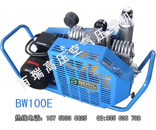 BW100Eѹ