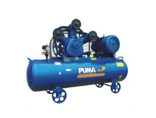 PUMAްԿѹGTE150300,Ƥ˫θѹʽѹֻ