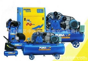 ްPE100250ѹ,ްGE100250ѹ.pumaѹ