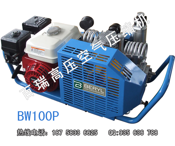 BW100PǱˮѹѹ