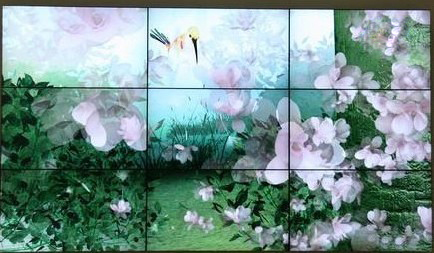ֻ60Һƴ۰۹Ӧ