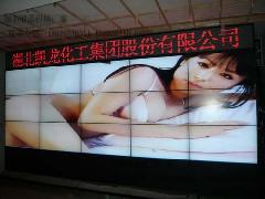 ӦҺƴӳֱ18676703397