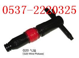 ӦG20