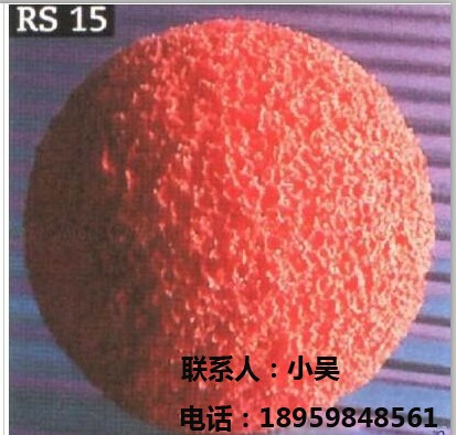 ¹Schmitzʩ˹RS15