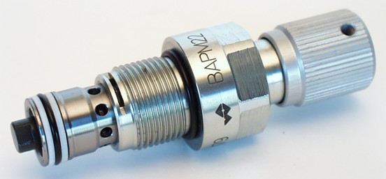 BASPM22-315