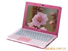 VAIOW117XC/P