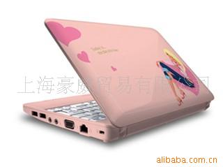 批发清华同方锋锐S5-12(粉彩绘)上网本