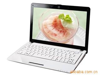 ˶EeePC1001HA