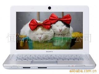 W217JC/W(SONYW217JC/W