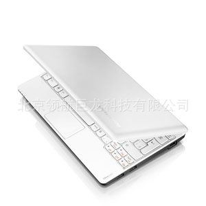 IdeaPadS110-NTWN26002G320Ʒʯɺ