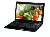 ˶EeePC1201HA(ASUSEeePC
