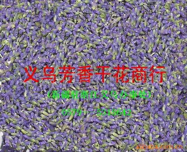 ¼¼иѬ²