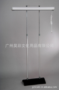 ʽ綯չʾ