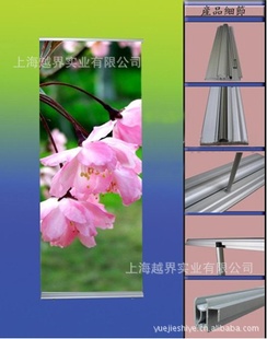 ʽ綯ң