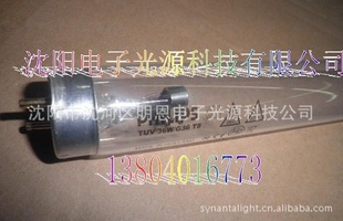 ̽TUV115W߾ƹ