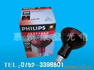 ƵݣߵݣPAR38100W