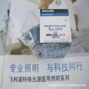 PHILIPSƱݣ1319413.8V85w΢Ʊ