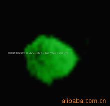 LEDӫHCT091׹-