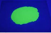 ֱFORCE4G2762/PA521LEDӫ
