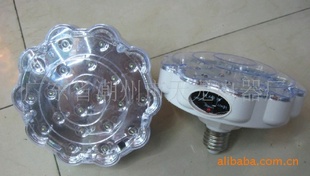 LEDӦ21LED
