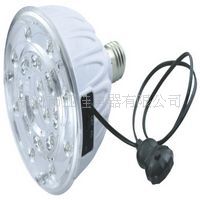 LEDӦledemergencybulb