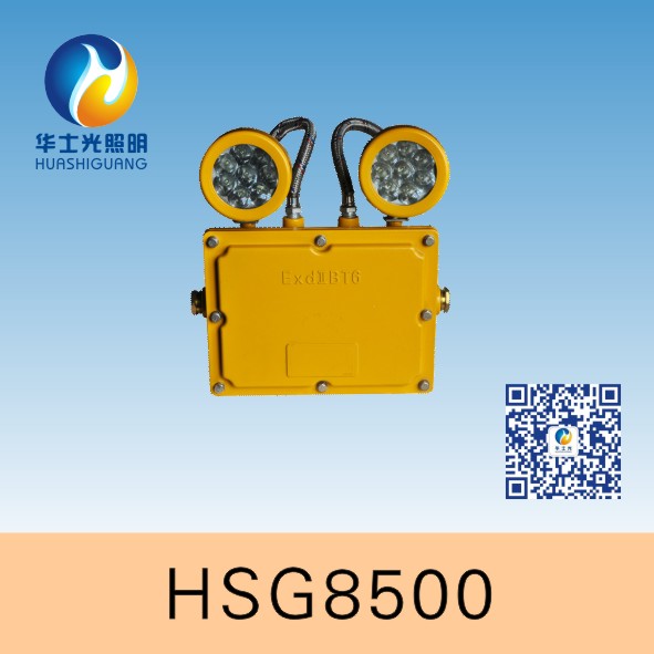 HSG8500/BXW6229Ӧ
