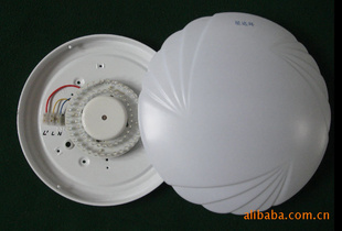 ¥˫LEDܵ