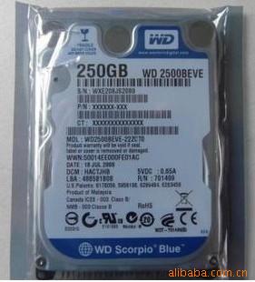 WD2.5250GB/WD2500BEVE
