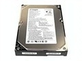 Ӳϣ300GB/10000ת